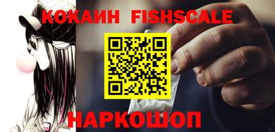 шишки Гай