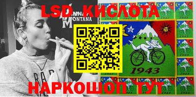 шишки Гай