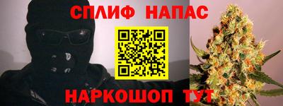 шишки Гай