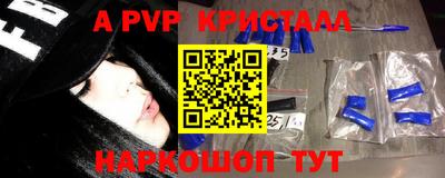 шишки Гай