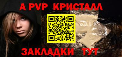 шишки Гай