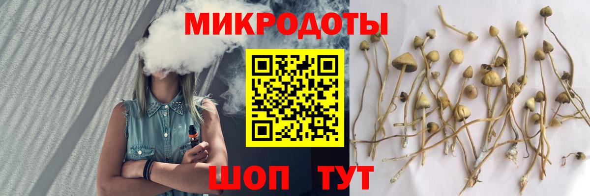 Орёл  Галлюциногенные грибы Psilocybe  Вход с VPN 